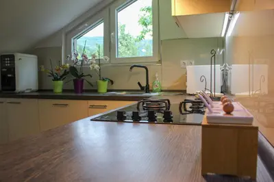 a kitchen with a stove and a counter top at Apartman Nadja&Dani in Kulen Vakuf