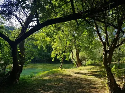 a path through trees next to a river at Apartman Nadja&Dani in Kulen Vakuf