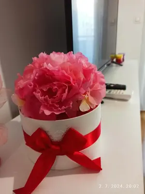 a bouquet of pink flowers in a red and white cake at Apartman Oaza in Doboj