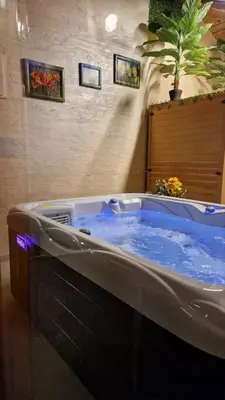 a jacuzzi tub in a bathroom with a plant at Villa, Vikendica - Sunny Hill - jacuzzi, sauna in Banja Luka