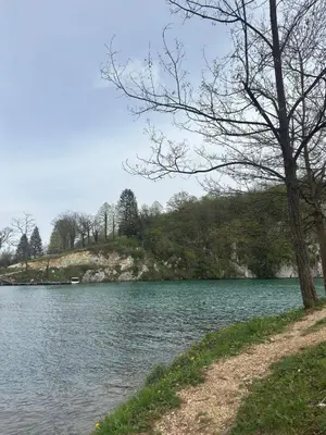 a body of water with a tree next to it at Lake House Ceric in Jajce