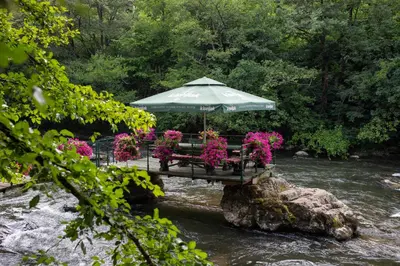 a bridge with flowers and an umbrella on a river at Villa Bosnia in Donji Vakuf