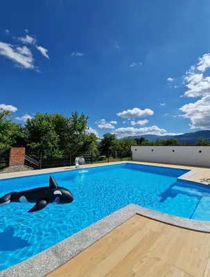a swimming pool with a dolphin in the water at Villa AS in Bihać