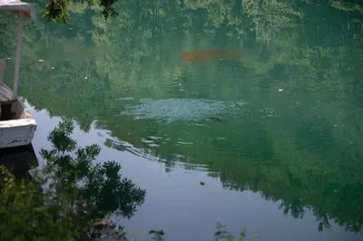 a body of water with a boat in it at Moonlight & Starlight lodges in Orašac