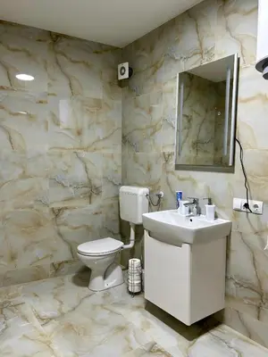 a bathroom with a toilet and a sink and a mirror at Jelena in Jajce