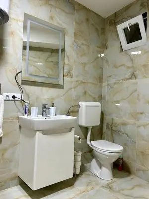 a bathroom with a toilet and a sink and a mirror at Jelena in Jajce