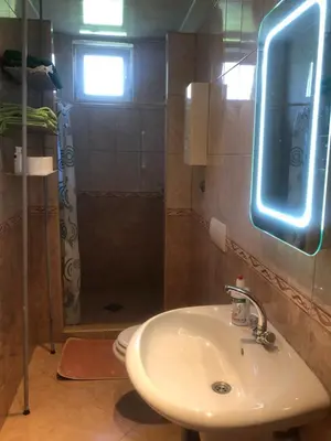 a bathroom with a sink and a shower at Ema's apartments in Bihać