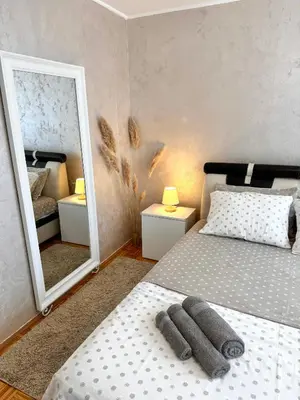 a bedroom with a bed and a large mirror at Apartman Tanja in Banja Luka