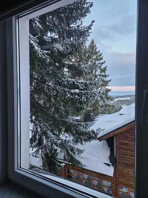 a window with a view of a snow covered tree at Apartman D&A in Šišava