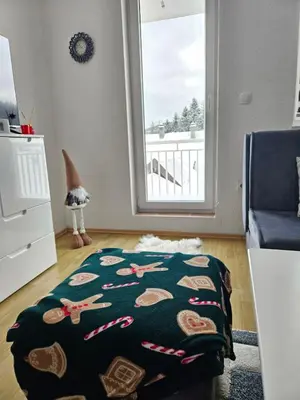 a living room with a blanket on the floor at Apartman D&A in Šišava