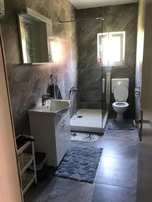 a bathroom with a sink and a toilet and a shower at Apartman Pavić in Livno