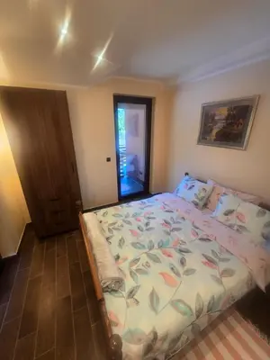 a bedroom with a large bed in a room at Villa Djuric in Slatina Varoš