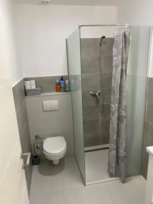 a bathroom with a toilet and a glass shower at Luxury Pyramid Apartment Visoko in Visoko