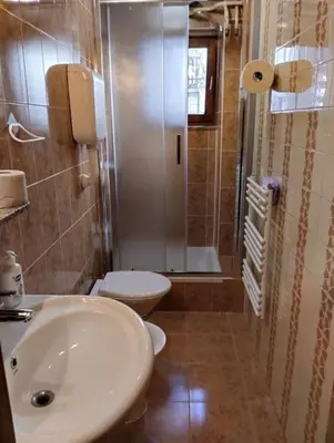 a bathroom with a toilet and a sink and a shower at Apartman Turizam Plus in Travnik