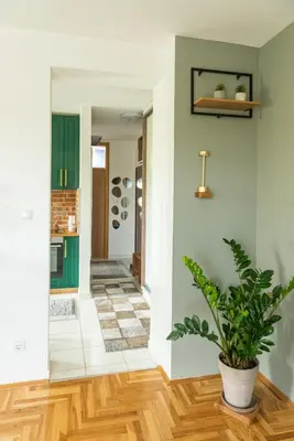 a hallway with green walls and a potted plant at Šarmantan stan u centru grada in Banja Luka