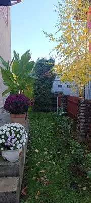a yard with flowers and plants in a yard at Apartman Bihać SviMi in Bihać