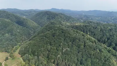an aerial view of a lush green forest at Vila Mir in Banja Vrućica