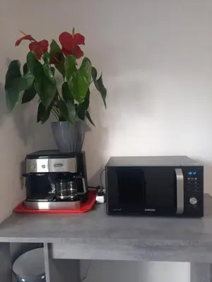 a microwave sitting on a counter next to a plant at Apartments White House Bihac in Bihać