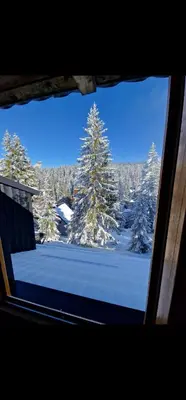 a view of a snow covered forest from a window at Winter Forest Vlasic in Šišava