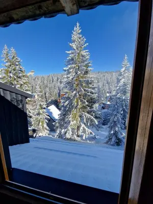 a view of a snow covered forest from a window at Winter Forest Vlasic in Šišava