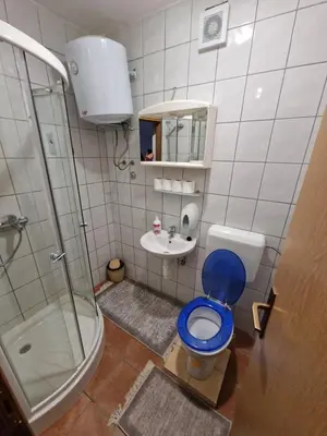 a bathroom with a blue toilet and a sink at Winter Forest Vlasic in Šišava