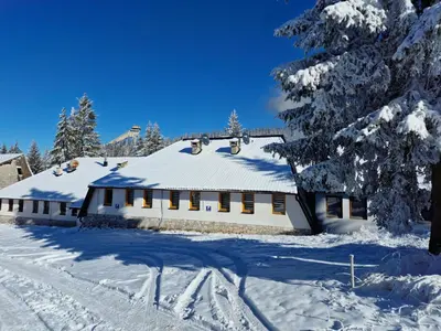 a house covered in snow in a snowy yard at Winter Forest Vlasic in Šišava