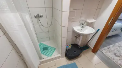 a small bathroom with a shower and a sink at Studio Apartman Mint Bihac in Bihać