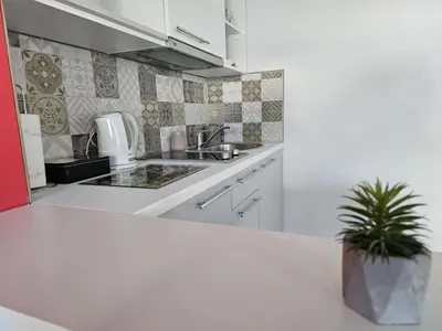 a kitchen with white cabinets and a potted plant at Apartmani EMA Bihać in Bihać