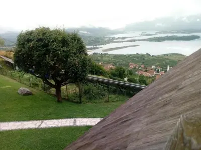 a view of a river and a tree on a hill at Kuća za odmor Vidikovac in Rumboci