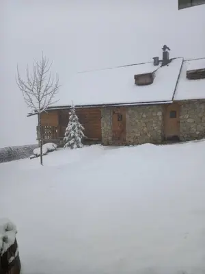 a house covered in snow with a tree in the yard at Kuća za odmor Vidikovac in Rumboci