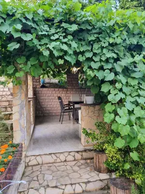 a patio with a table and chairs under a green hedge at Garden House in Tuzla