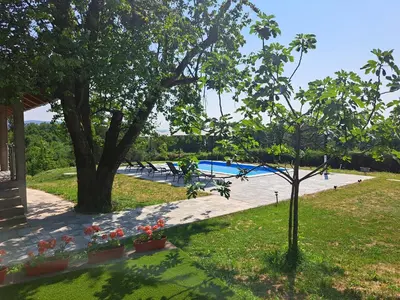 a swimming pool with a tree and flowers in a yard at Villa Sunset in Banja Luka