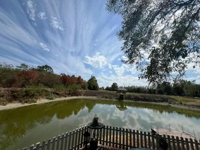 a pond in a garden with a fence at Lake house in Donji Žabar