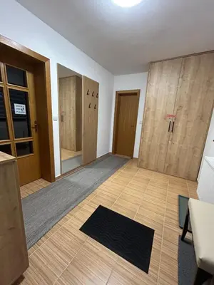an empty room with wooden doors and a rug at Montis Vlasic Apartment 1 in Vlasic