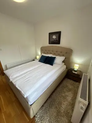 a bedroom with a large white bed with blue pillows at Montis Vlasic Apartment 1 in Vlasic