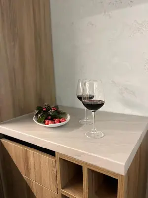 a glass of wine and a plate of food on a counter at Apartman Galerija 1 in Banja Luka