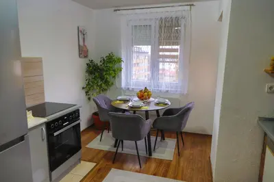 a kitchen with a table and chairs in a kitchen at Apartman Toromanovic in Bihać