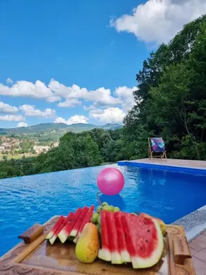 a plate of fruit on a table next to a swimming pool at Vikendica-Villa Belvedere Srebrenik in Srebrenik