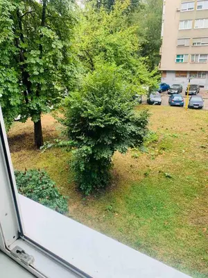 a view of a bush from the window of a car at Apartman H&A in Tuzla
