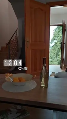 a bowl of fruit and a vase on a table at Vikendice Melić in Vlasic
