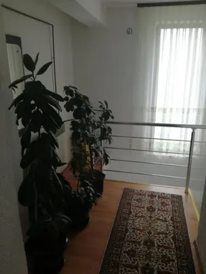 a room with a plant and a window with a rug at Apartman Halida in Visoko