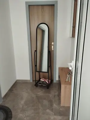 a bathroom with a mirror and a wooden door at Apartman Miloš in Bosanska Dubica