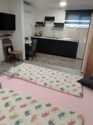 a large rug on the floor in a room at Apartman Miloš in Bosanska Dubica
