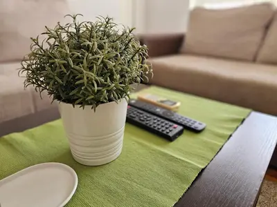 a plant in a white vase sitting on a table at Stan Svetozara Markovića 5A in Banja Luka