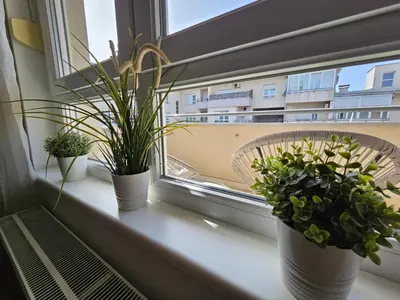 three potted plants sitting on a window sill at Stan Svetozara Markovića 5A in Banja Luka