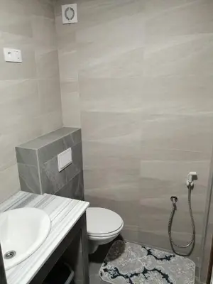 a bathroom with a toilet and a sink at Apartmani Vila Alpe in Travnik