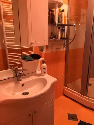 a bathroom with a sink and a shower at Apartman Mokusnice Zenica in Zenica