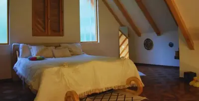 a bedroom with a large bed in a room at Vila Nature in Zavidovići