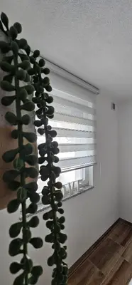 a plant next to a window in a room at Apartman Deny in Sanski most
