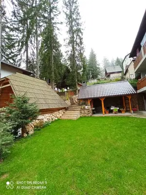 a house with a green yard with a building at Ice Queen Vlasic in Šišava